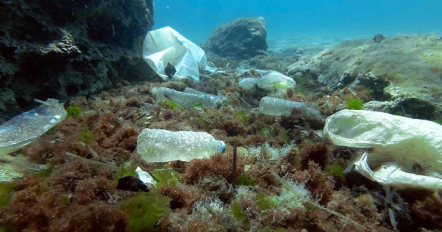 Scientists explore deep sea plastic trash crisis off Panama